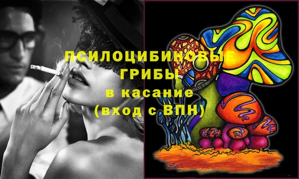 ALPHA PVP Краснослободск