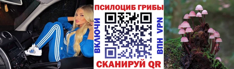 Галлюциногенные грибы мухоморы  продажа наркотиков  Никольское 