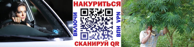 Каннабис гибрид  Никольское 